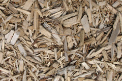 biomass boilers Paxton